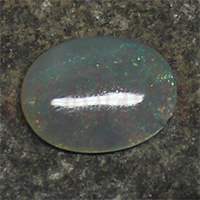 No Image Found